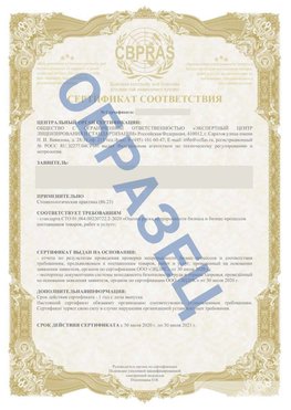 Образец Сертификат СТО 01.064.00220722.2-2020 Черниговка Сертификат СТО 01.064.00220722.2-2020 